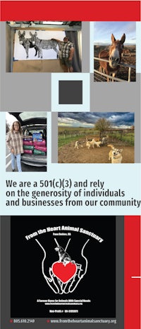 a flyer with a picture of a dog and a picture of a horse