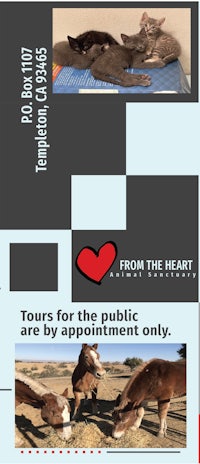a poster with pictures of horses and a heart