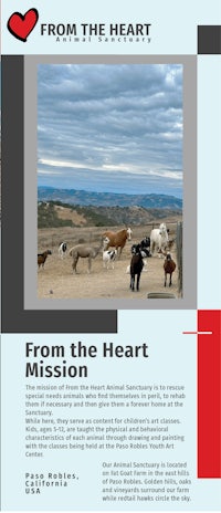from the heart mission flyer